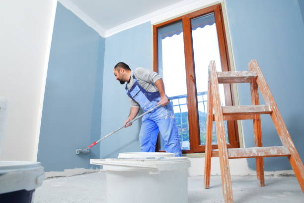 Best Attic Mold Removal  in Dowagiac, MI