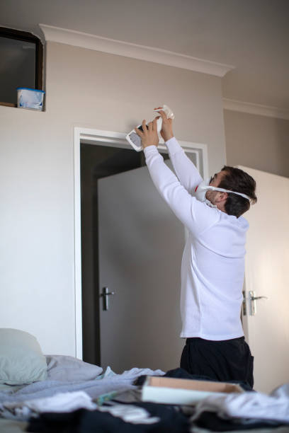 Best Mold Damage Restoration  in Dowagiac, MI