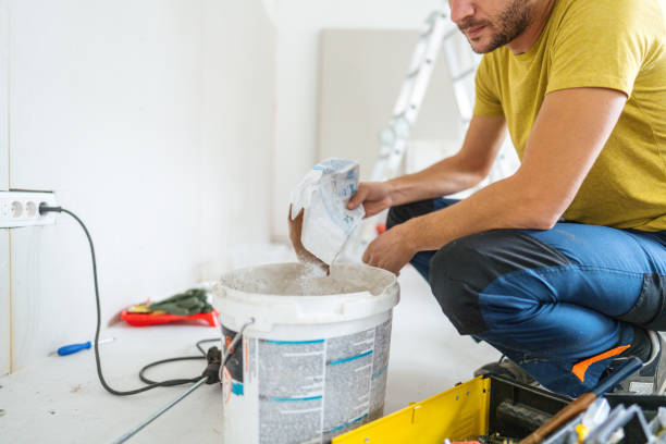 Best Mold Removal for HVAC Installations  in Dowagiac, MI