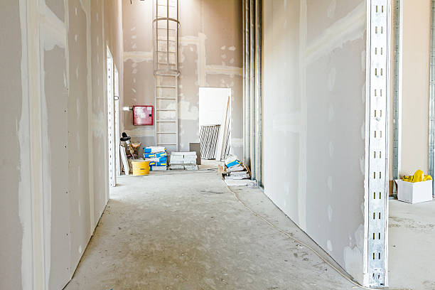  Dowagiac, MI Mold Removal Pros