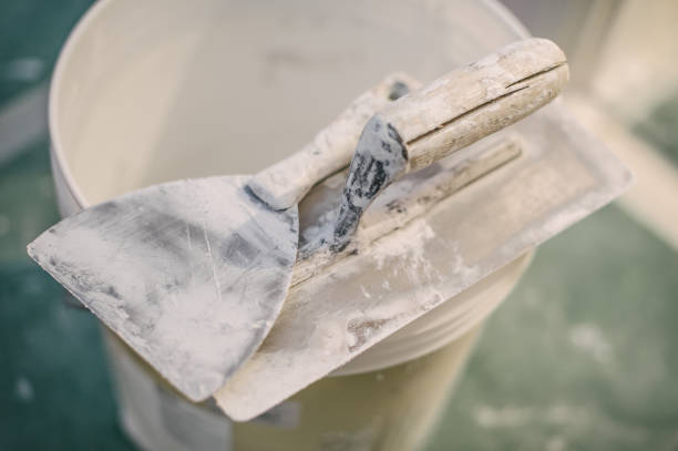 Best Crawl Space Mold Remediation  in Dowagiac, MI