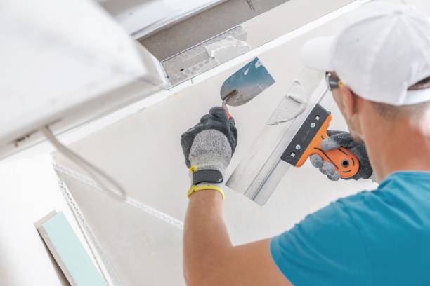 Best Mold Odor Removal Services  in Dowagiac, MI